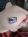 Walton 256Gb Memory Card